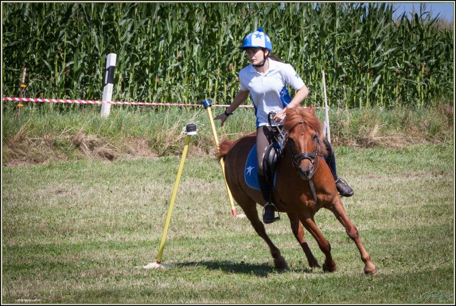 Mounted Games 025